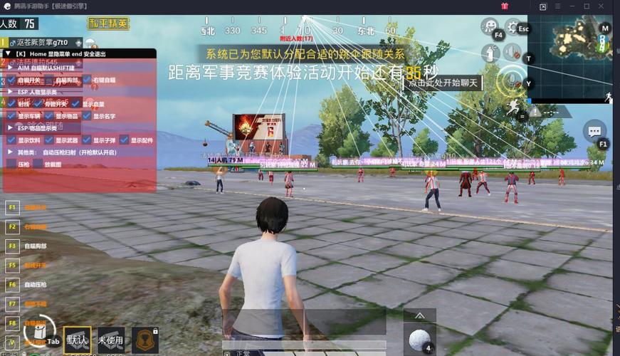 和平精英辅助得类型分为那些